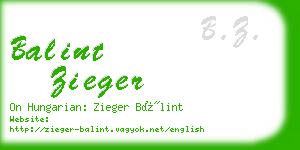 balint zieger business card